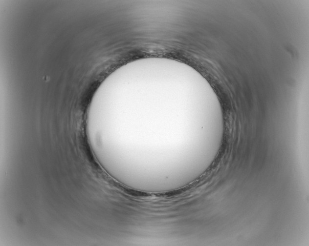 X0000111600511200907161216