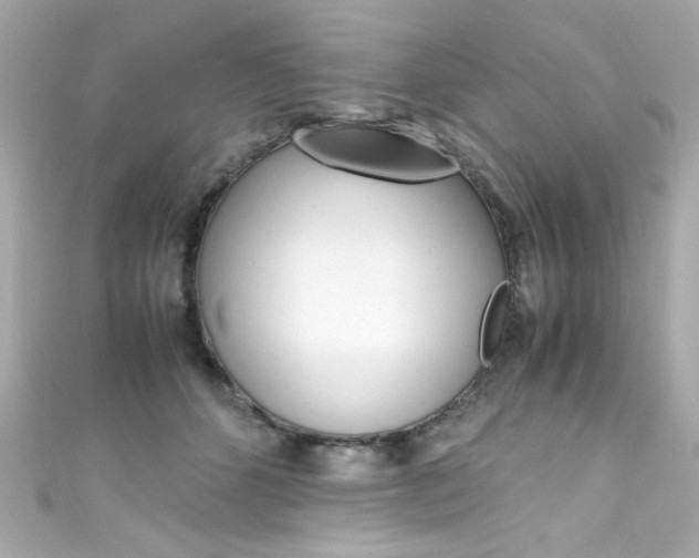X0000111600512200907161216