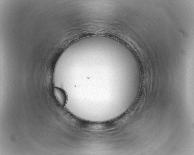 X0000111600513200907161216