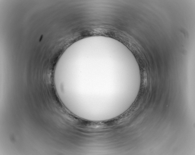 X0000111600514200907161216