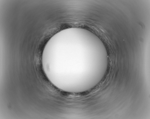 X0000111600515200907161216