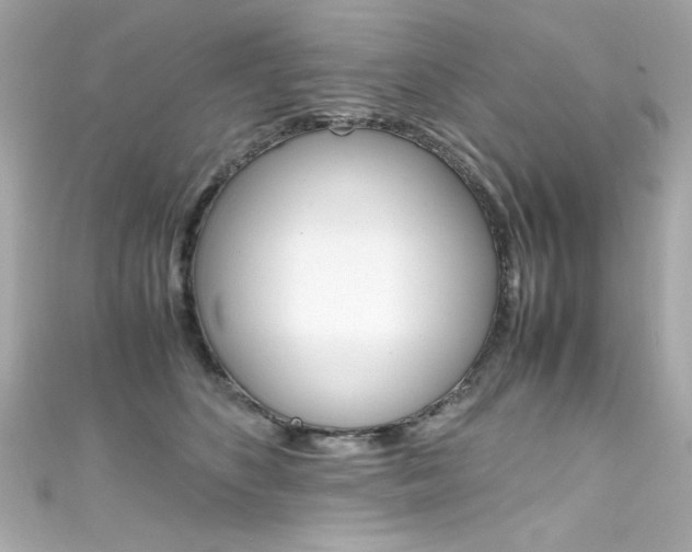 X0000111600516200907161216
