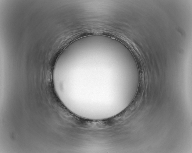 X0000111600517200907161216