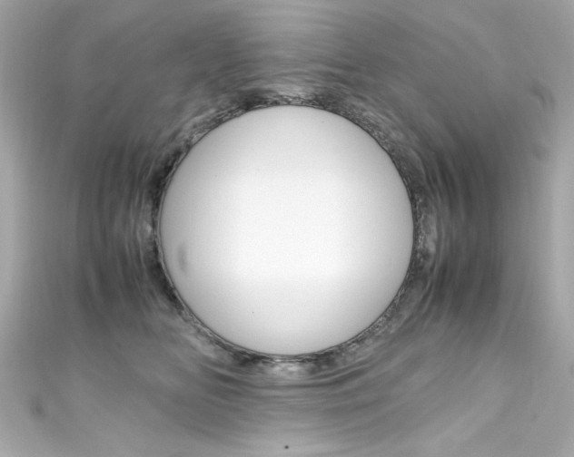 X0000111600518200907161216