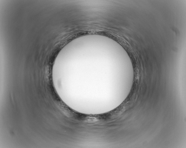 X0000111600519200907161216