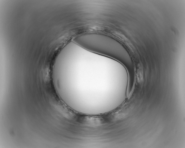 X0000111600520200907161216