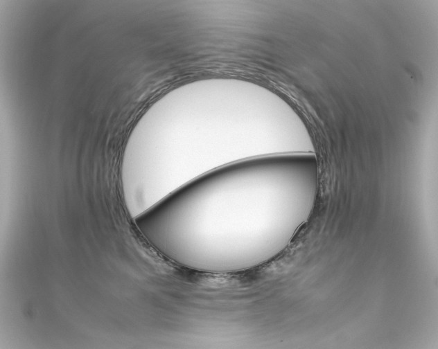 X0000111600521200907161216