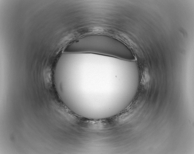 X0000111600524200907161216