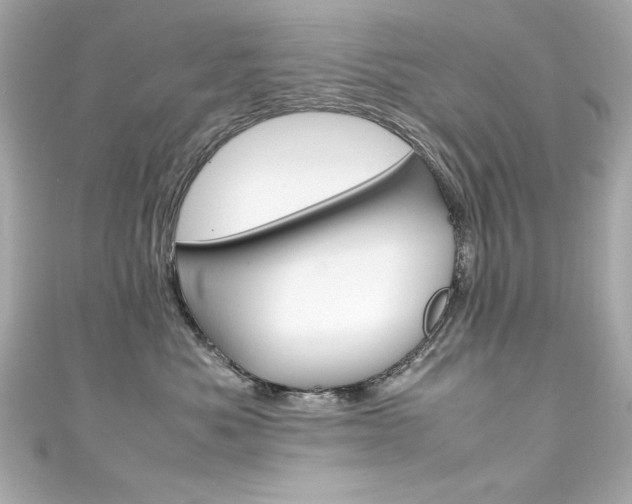 X0000111600525200907161216