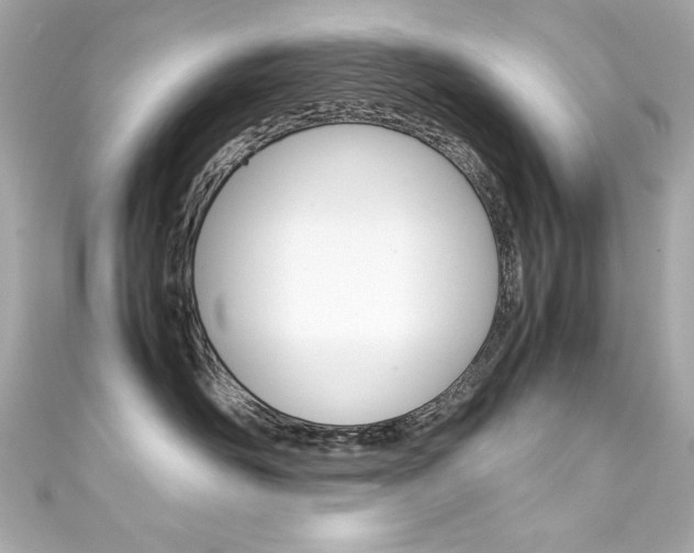 X0000111600526200907161216
