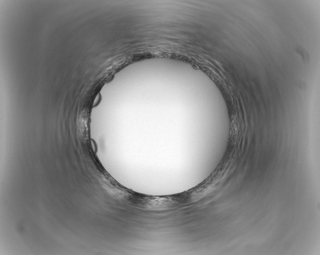 X0000111600527200907161216