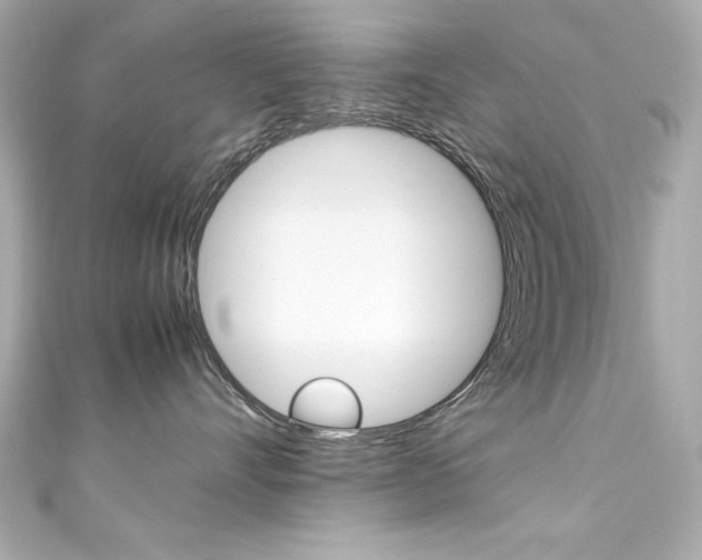 X0000111600528200907161216