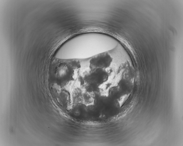 X0000111600529200907161215