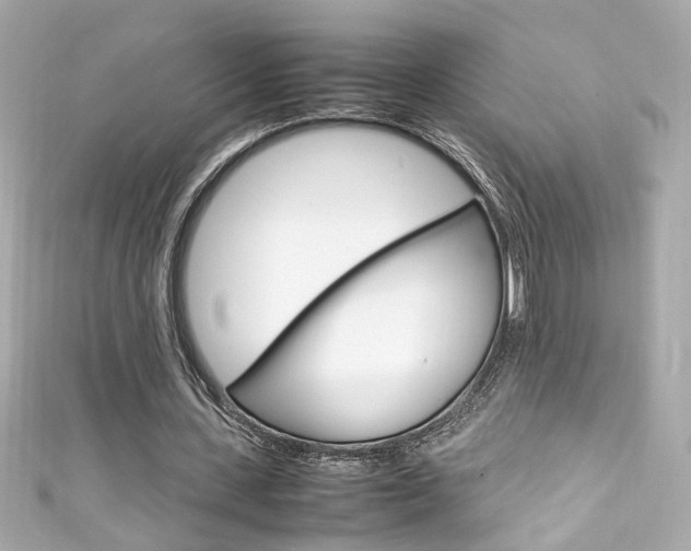 X0000111600531200907161216