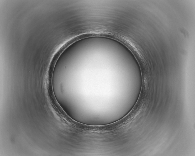 X0000111600532200907161216