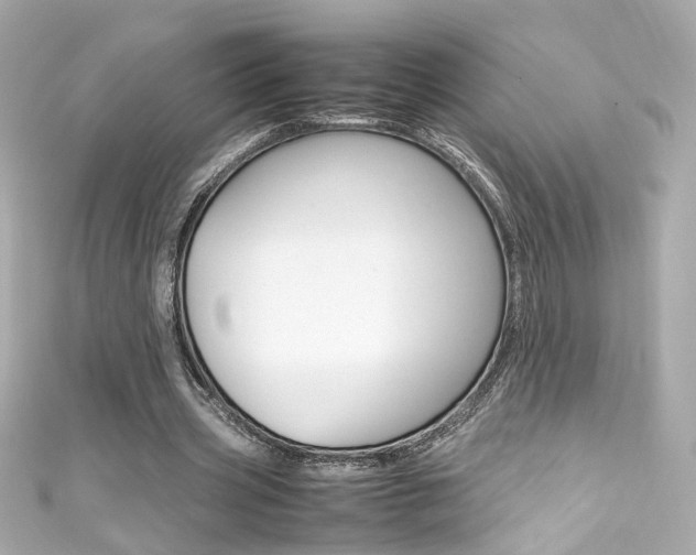 X0000111600533200907161216