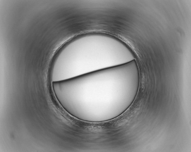 X0000111600535200907161216