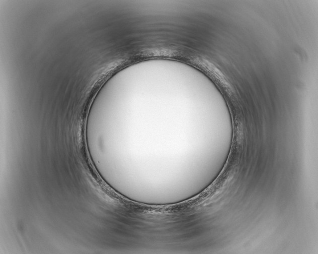X0000111600537200907161216