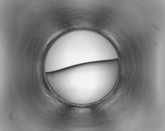 X0000111600539200907161216