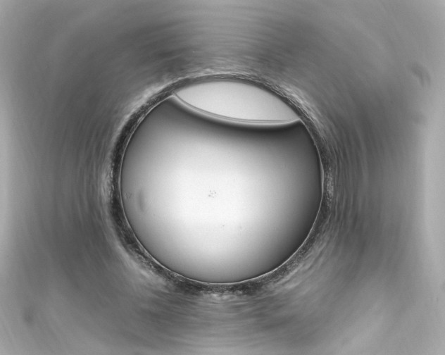 X0000111600540200907161216