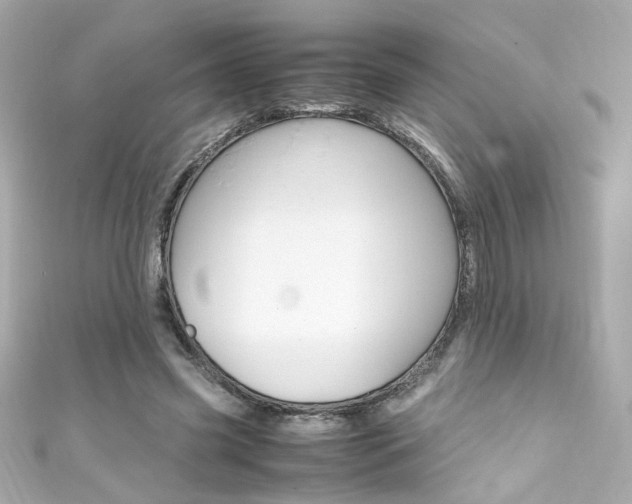 X0000111600541200907161216