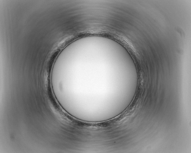 X0000111600542200907161216
