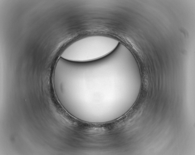 X0000111600543200907161216