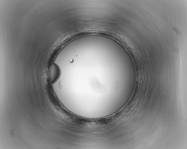 X0000111600544200907161216