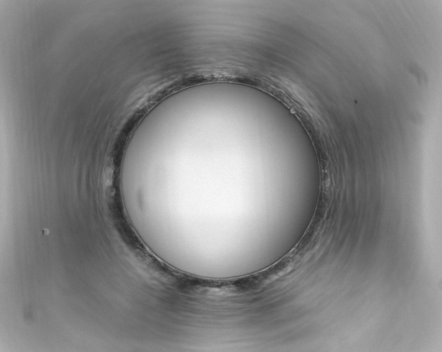 X0000111600548200907161216