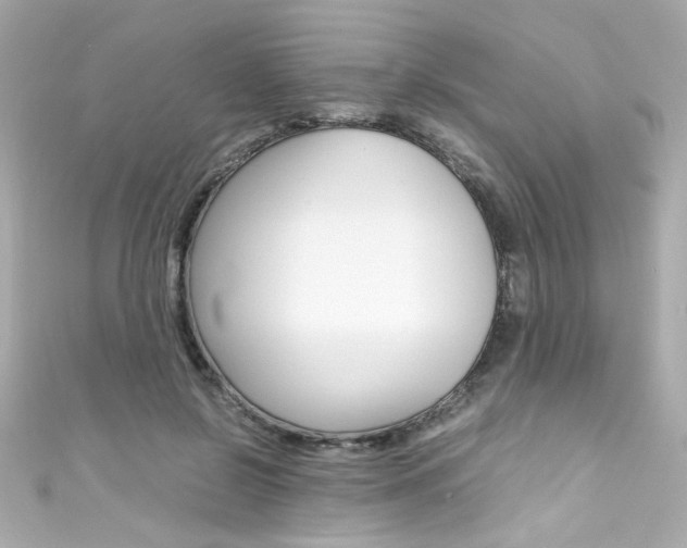 X0000111600550200907161216