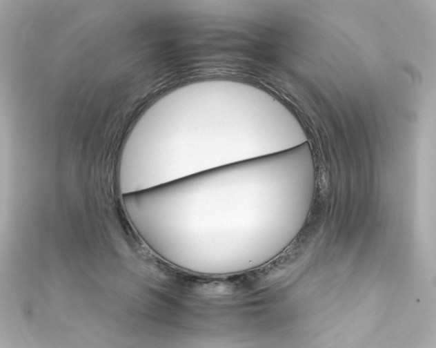 X0000111600551200907161216