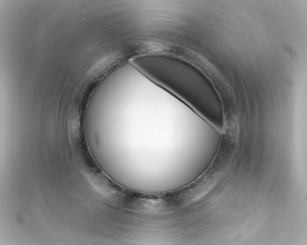 X0000111600552200907161216