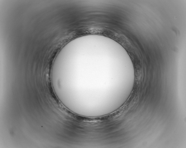 X0000111600553200907161216