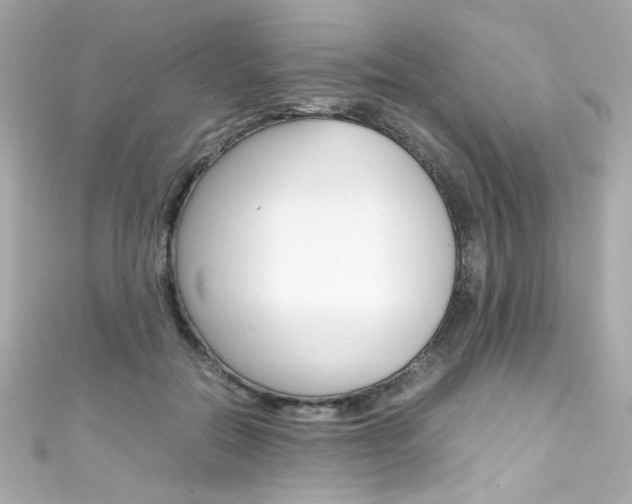X0000111600554200907161216