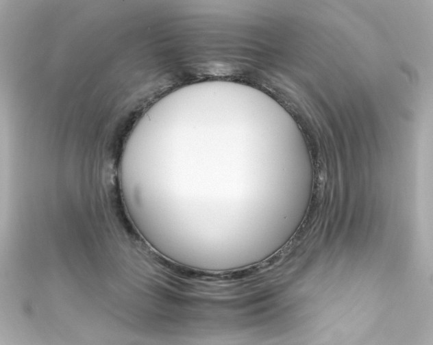 X0000111600555200907161216