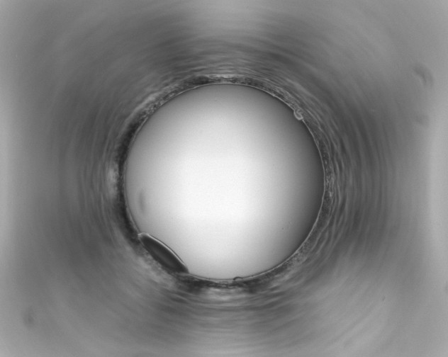 X0000111600556200907161216