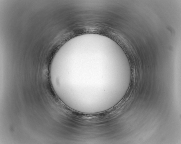 X0000111600557200907161216