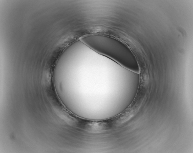 X0000111600558200907161216