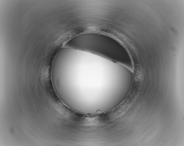 X0000111600560200907161216