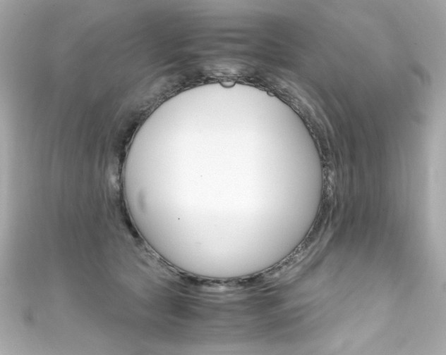 X0000111600561200907161216