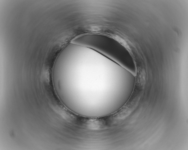 X0000111600562200907161216