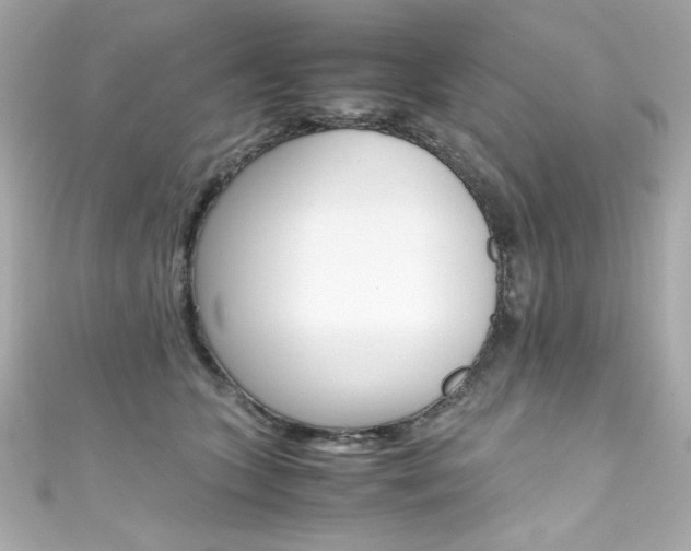 X0000111600563200907161216