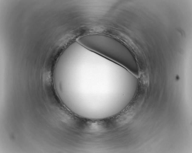 X0000111600564200907161216