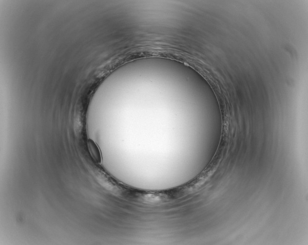 X0000111600566200907161216