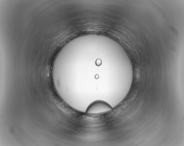 X0000111600567200907161216