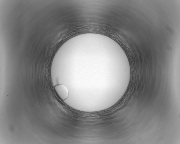 X0000111600568200907161216