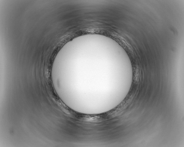 X0000111600569200907161216