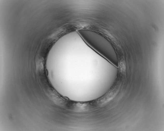 X0000111600570200907161216