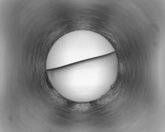 X0000111600571200907161216