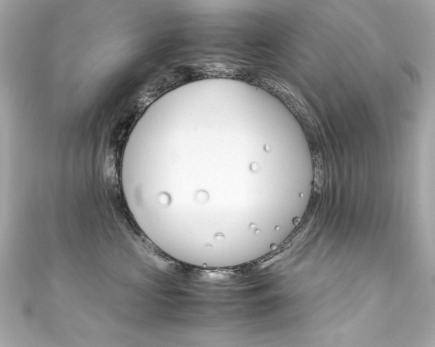 X0000111600573200907161216